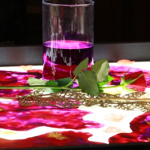 Winterconcert 2025, Foto's Charlotte de Boer